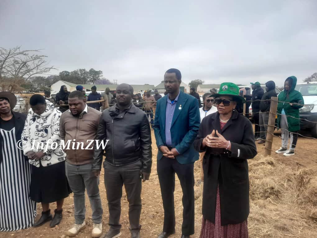 Mnangagwa’s Youth Empowerment Initiative: 70 Heifers for Matabeleland South