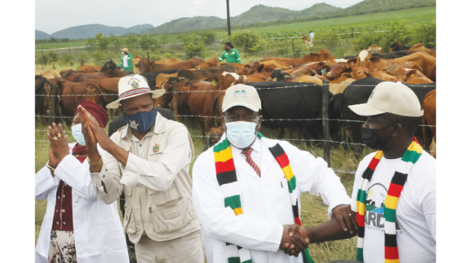 ZANU PF Youths Suspended for Abusing Presidential Empowerment Initiative