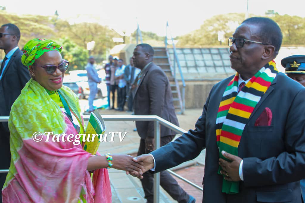 First Secretary of ZANU-PF President Mnangagwa chairs Zanu-PF Central Committee Meeting during 21st conference