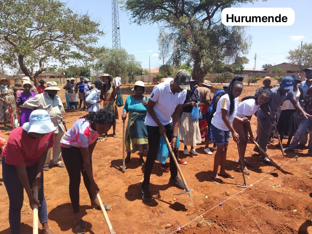 Pfumvudza/Intwasa program rolls out in DCC 5
