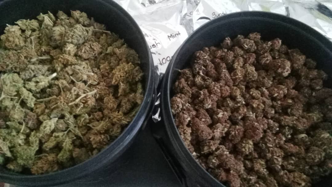 Police Nab Creative Dagga Peddlers in Surprise Operation