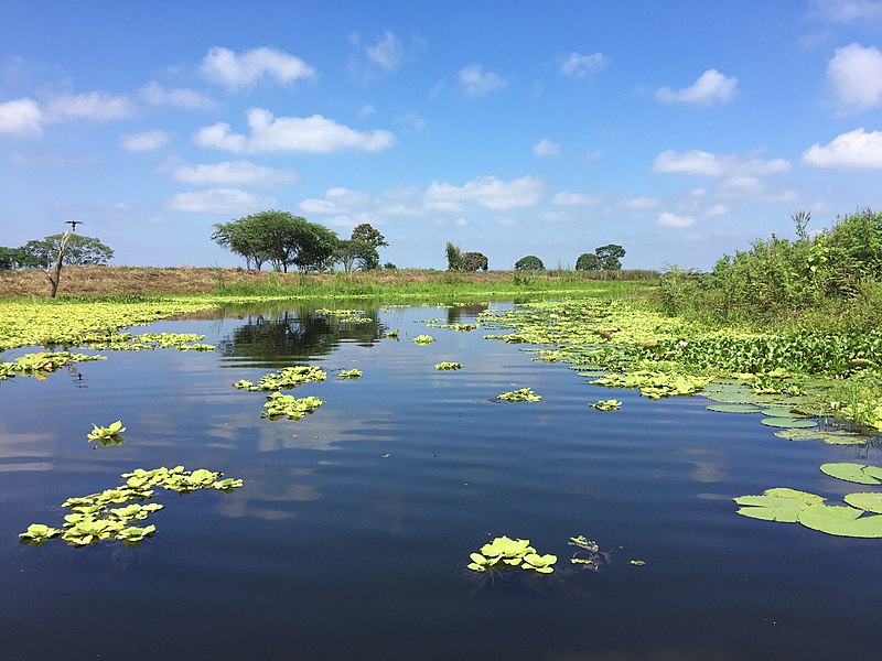 Hosting Ramsar COP15 is a landmark in wetland conservation leadership