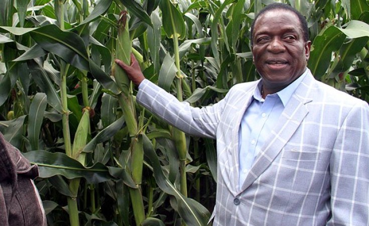 Zimbabwe’s Agricultural Recovery to Power Broad Economic Expansion