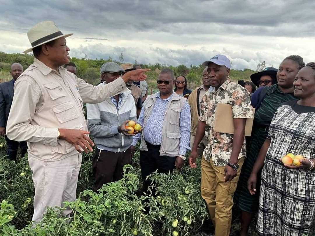 Govt Boosts Irrigation to Strengthen Horticulture and Food Security