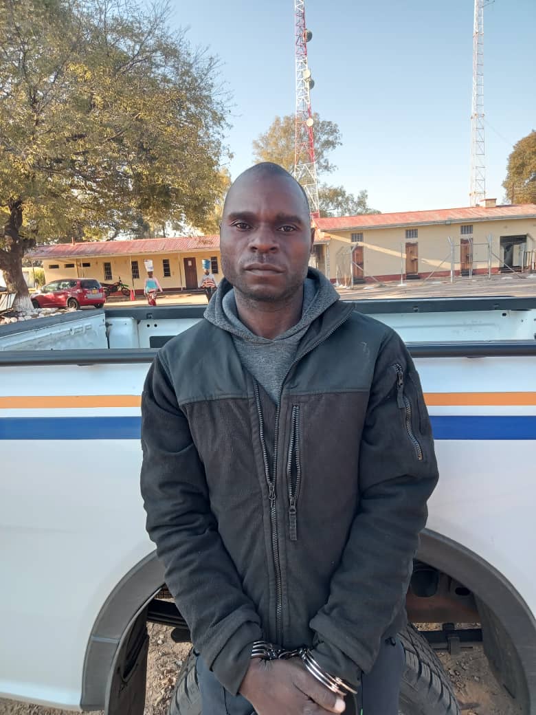 Police Bust Cattle Theft