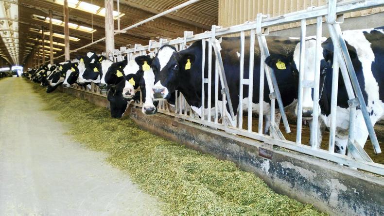 Zimbabwe’s Milk Output Rises to 57 Million Litres in First Half of 2025