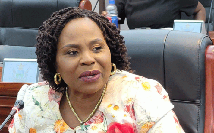 SMEs Have Transformed the Economy: Min Mutsvangwa