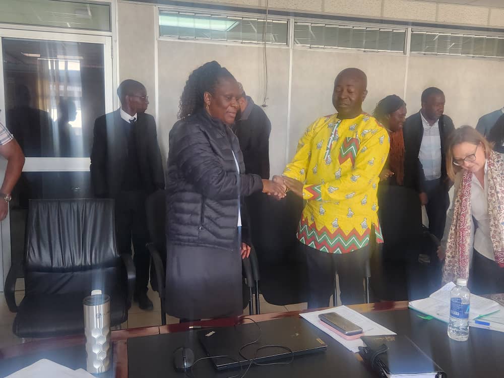 Business simplification: CZR, ZIMRA New Collaboration