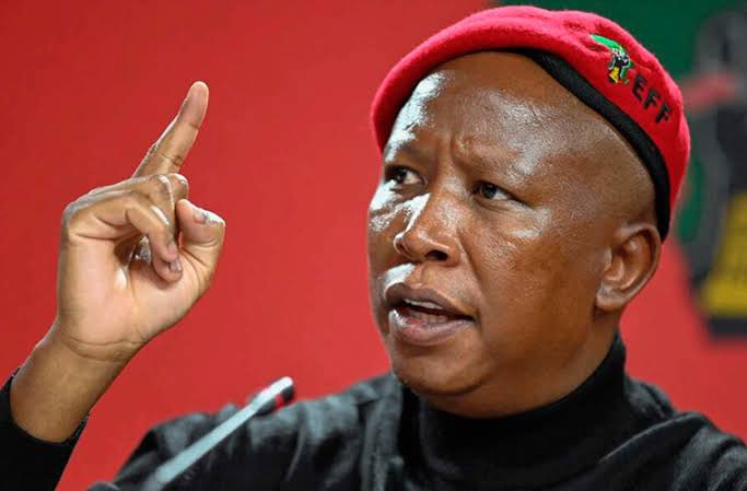 EFF Leader Malema: Zimbabweans Should Seek Jobs at Home