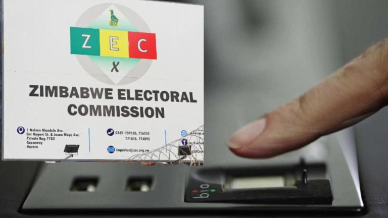 ZEC says all set for Nkulumane parliamentary by-election