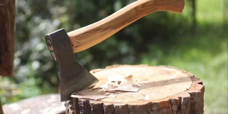 Kadoma Man Kills Father Over Witchcraft Allegations and ED Claims
