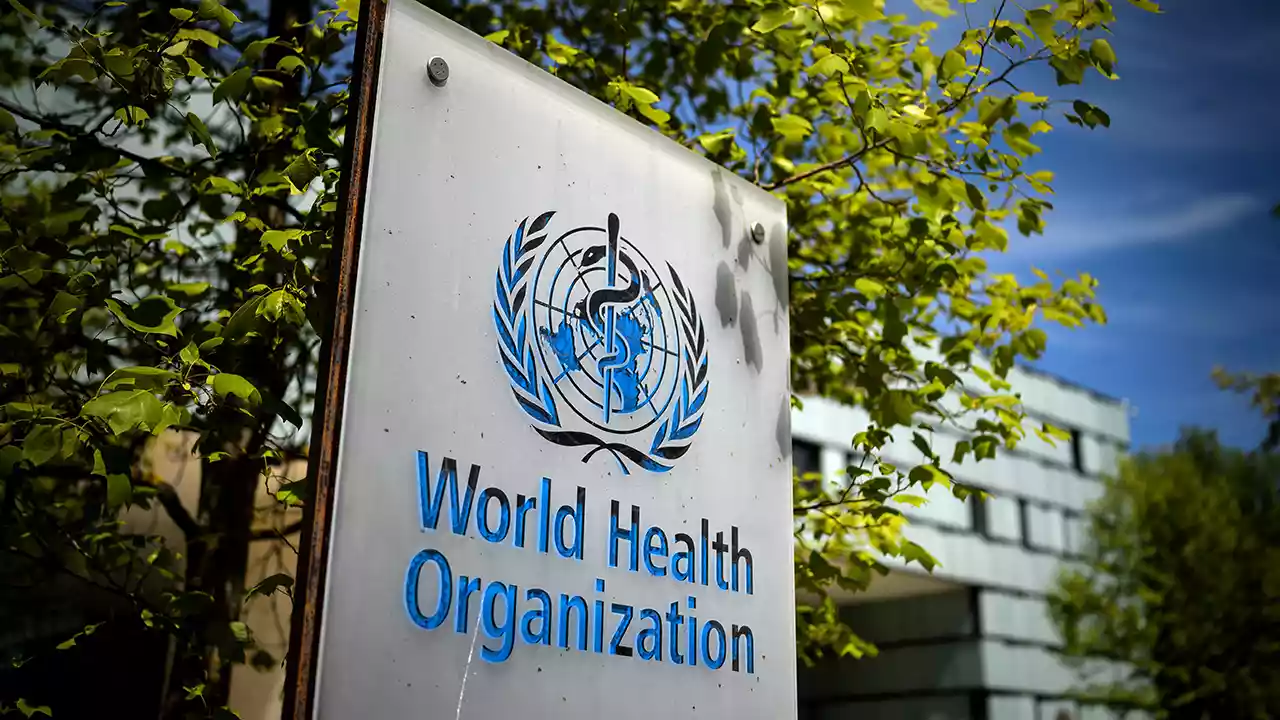 WHO Reports Significant Gains in Zimbabwe’s Polio Vaccination Campaigns