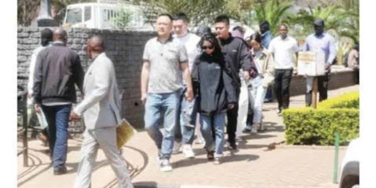 Lenient Fines for Chinese Nationals in Cocaine Case Spark Outrage