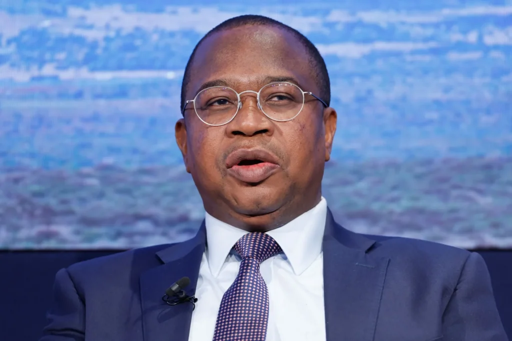 Ncube Projects 6.6% GDP Growth in 2025, Cites Mining and Agriculture as Key Drivers
