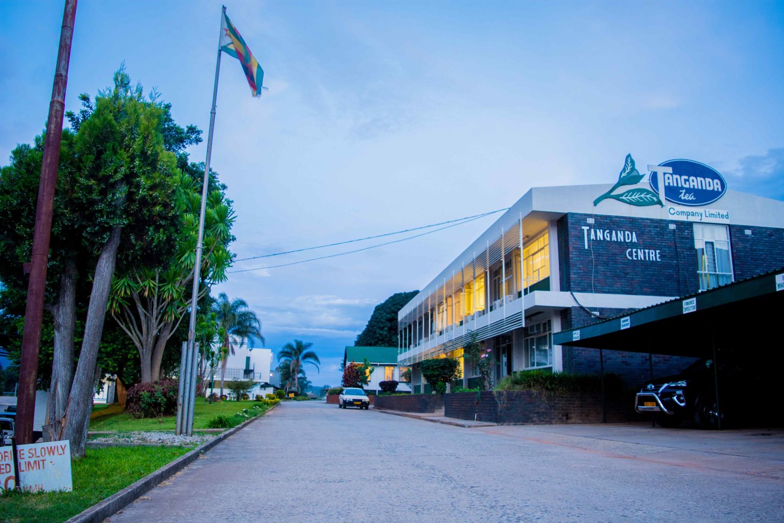 Tea Giant Tanganda Reports Strong Quarter Amid Production Challenges