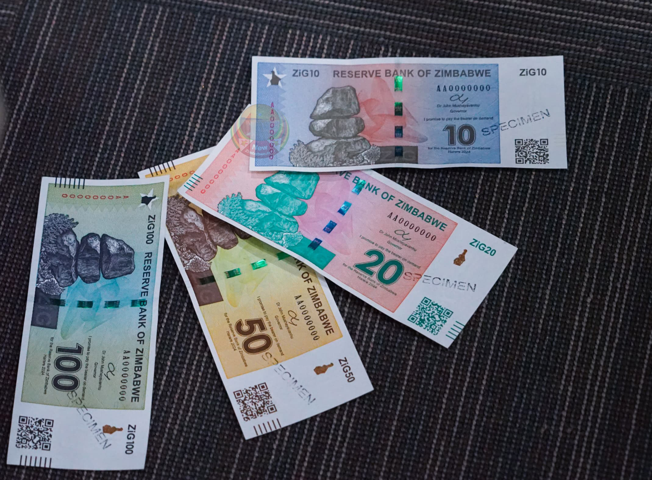 Zimbabwe Sets Roadmap to Adopt ZiG as Sole Currency by 2030