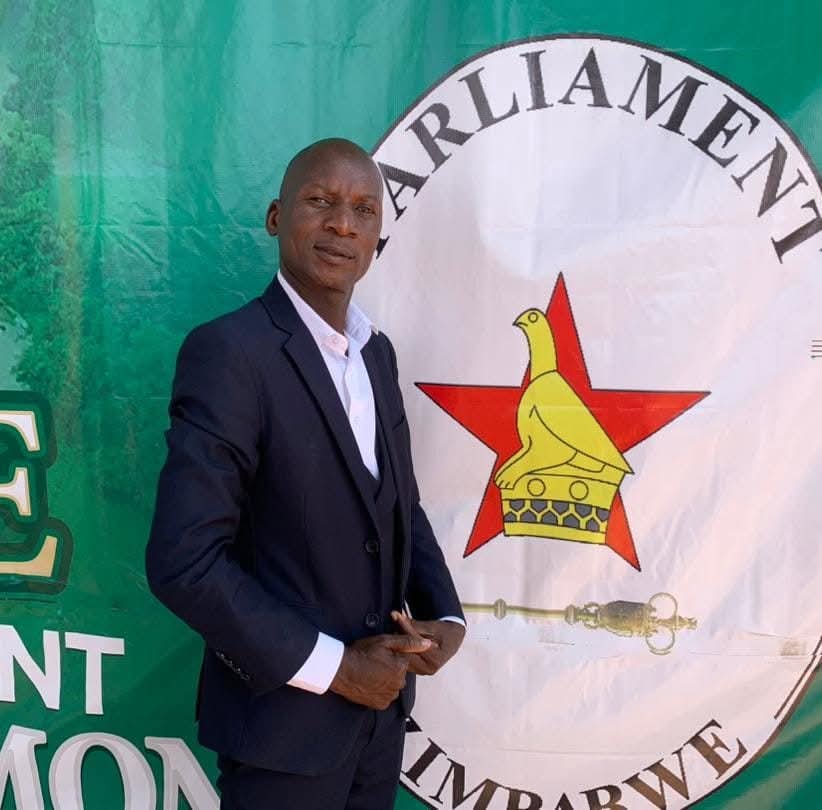 MP Desire Moyo Dies After Vehicle Collides With Elephant Near Shangani