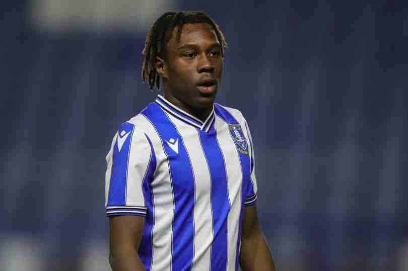 Fusire Flourishing in New Role at Sheffield Wednesday