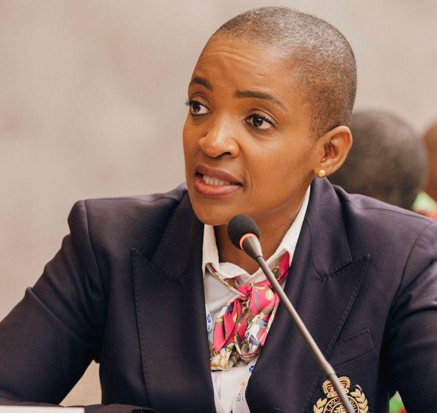 Minister Rwodzi Highlights Growth and Challenges in Zimbabwe’s Domestic Tourism Sector