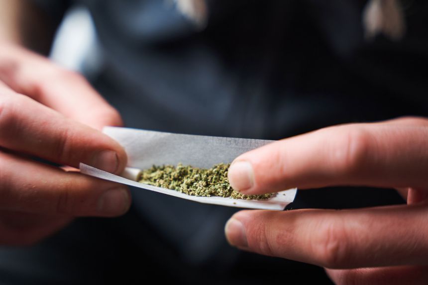 Meal and Milk Masked Marijuana, Woman Sentenced