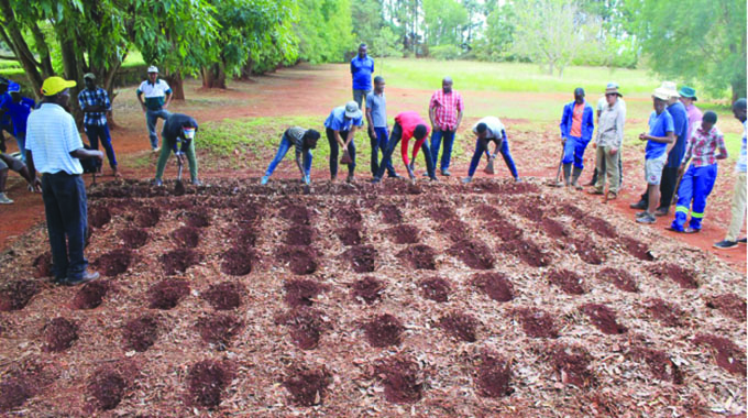 Govt Cuts Urban Households From Pfumvudza Inputs Scheme
