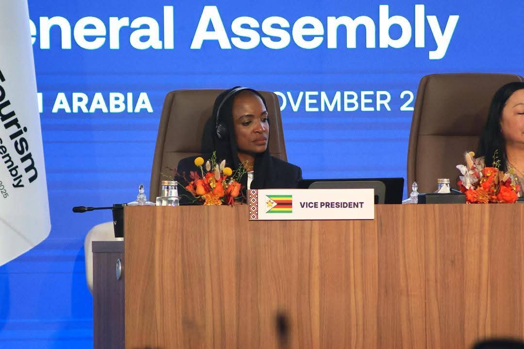 Minister Rwodzi’s UN Appointment a Testament to Second Republic’s Global Recognition