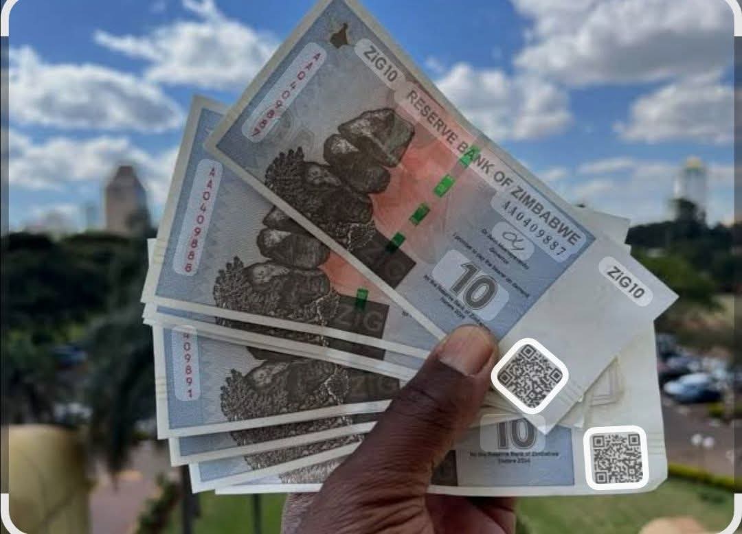 Government pushes for monocurrency transition by 2030 amid public scepticism