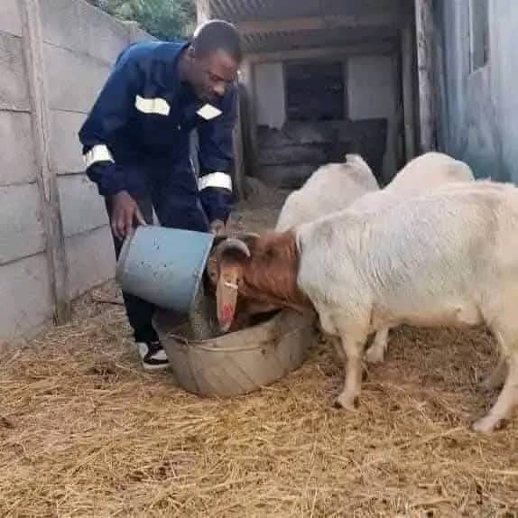 Rapper Maskiri Arrested Over Alleged Goat Scam in Chitungwiza