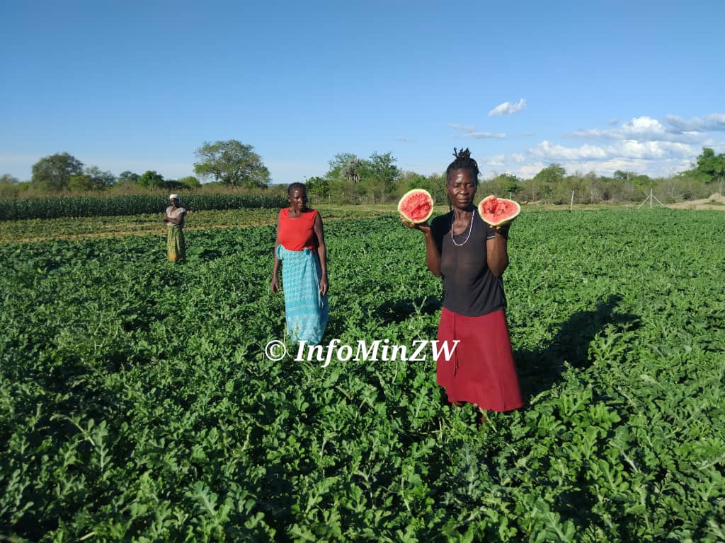 Binga Communities Reap Benefits from Lungwalala Irrigation Scheme