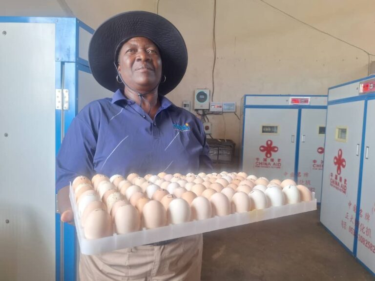 China Aid Gives Zvimba Farmers a Wing-Up