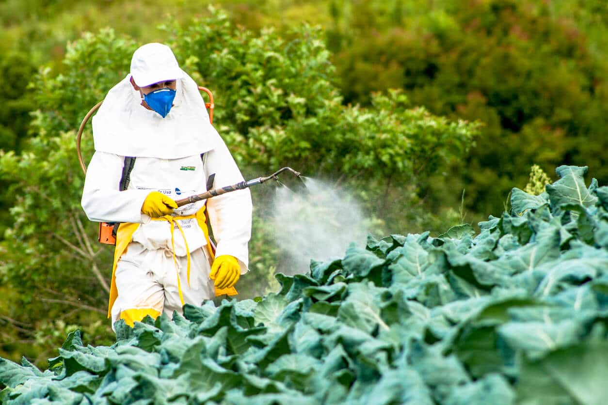 Two Marange Sisters Die After Eating Pesticide-Contaminated Vegetables