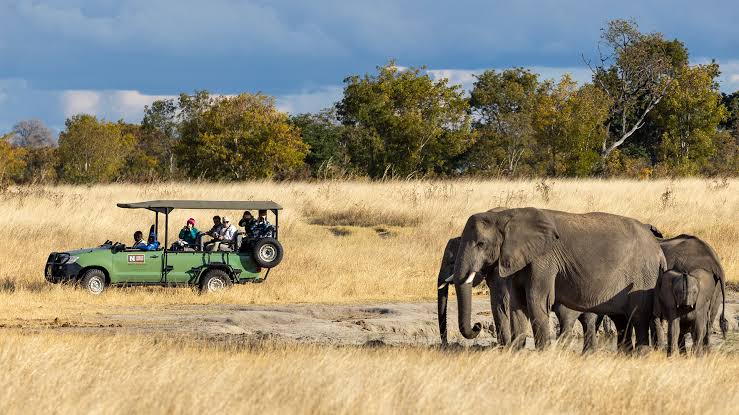 Ndebele-Language Tech Innovation Strengthens Communities Facing Wildlife Conflict
