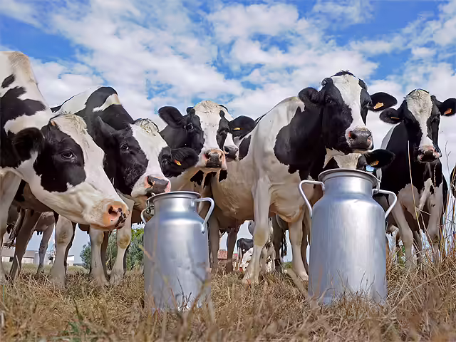 Commercial Milk Output Reaches Record 122 Million Litres in 2025