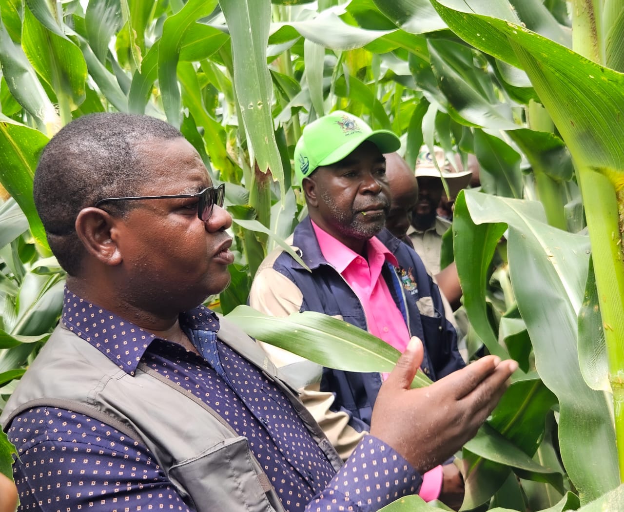 Irrigation Key to Masvingo’s Rise as Cereal Hub – PS Jiri
