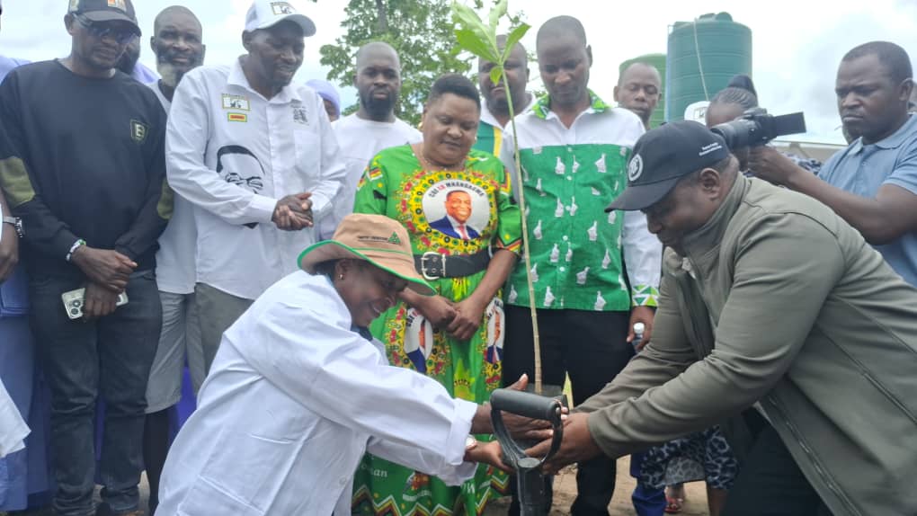 300 Trees Planted to Challenge Apostolic Deforestation Stereotypes