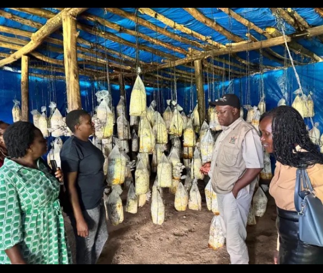 Military women lead agricultural revolution