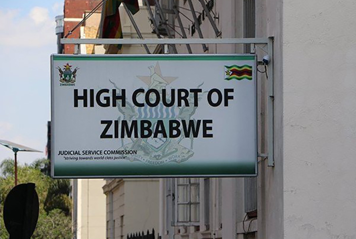 RioZim Challenges Sengwa Coal Grant Cancellation in High Court