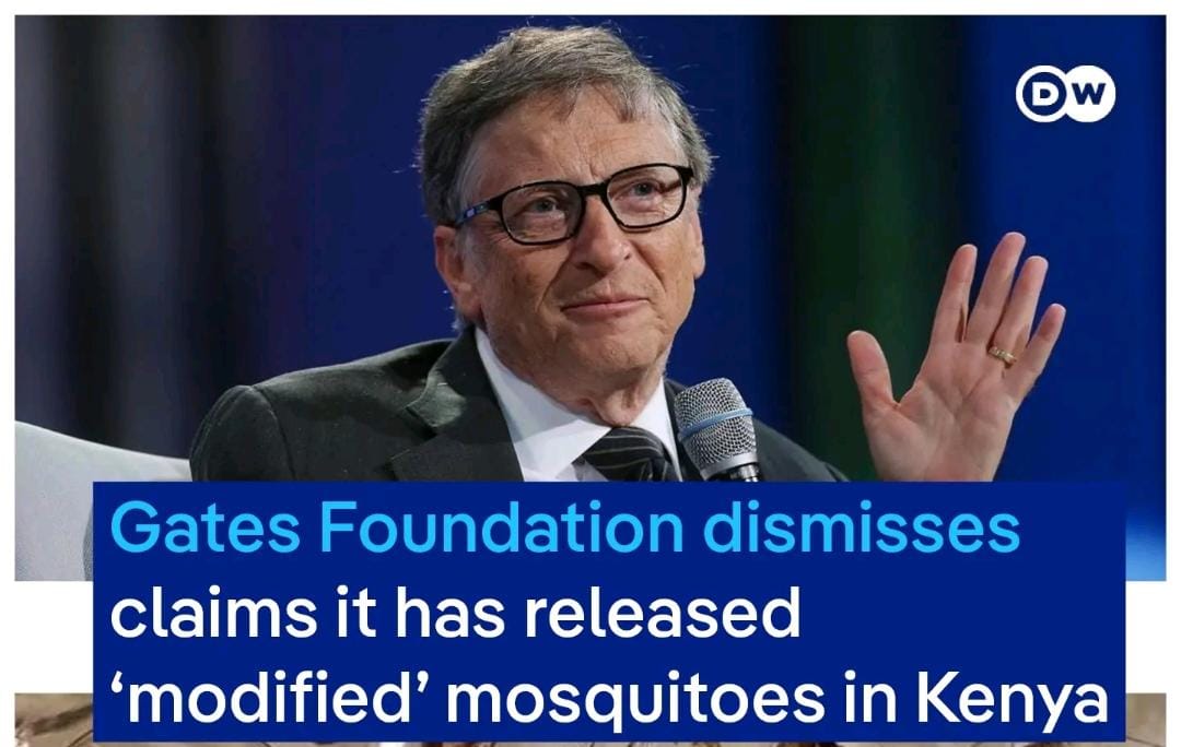 Bill Gates Linked to GMO Mosquito Claims, Foundation Pushes Back