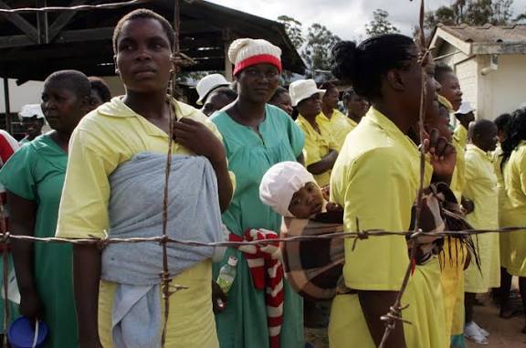 Zimbabwe Announces 2026 General Amnesty for Prisoners