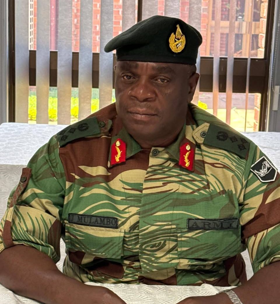 New Brigadier Generals Appointed in Zimbabwe National Army