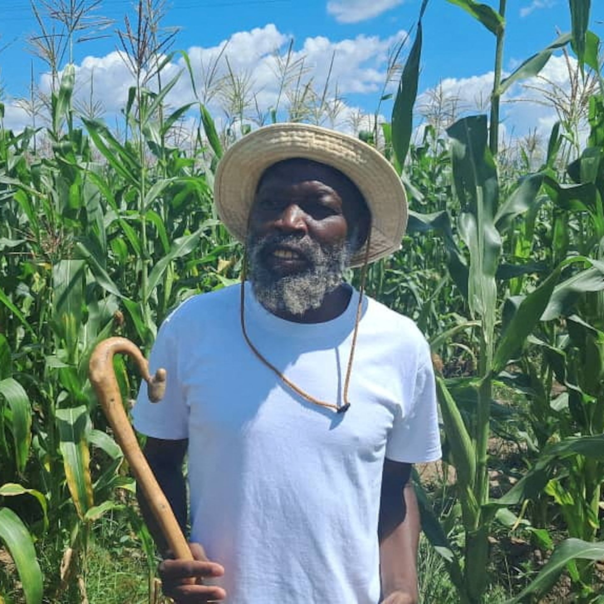 Madzibaba Ishmael Released on Bail Pending Appeal