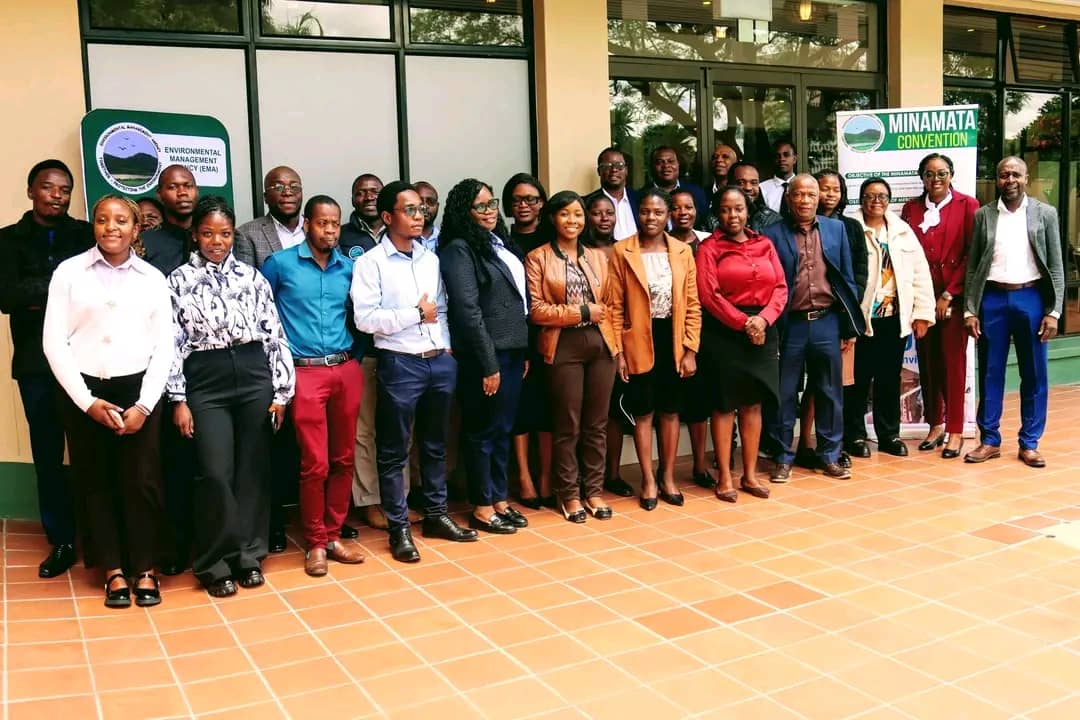 Zimbabwe Targets Mercury Emissions in New Power Plant Initiative