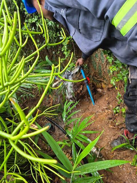 Borrowdale Residents Celebrate as Water Flows